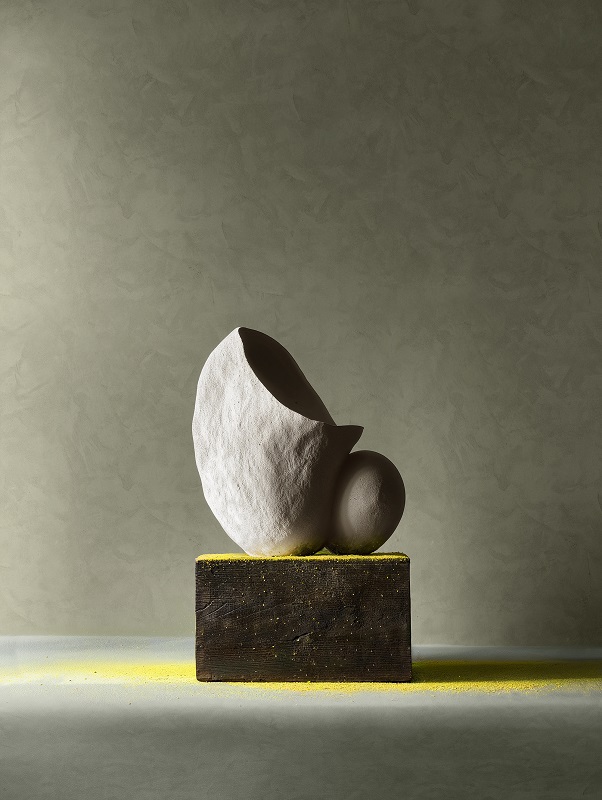 novacolor color trends 2026