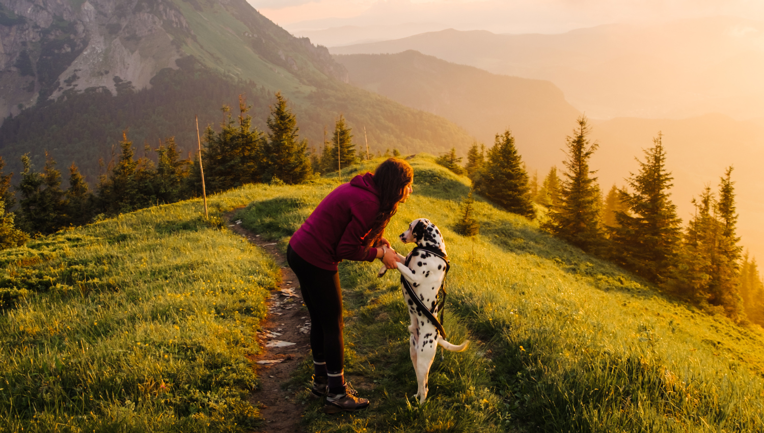Donna accovacciata che tiene per le zampe un dalmata in piedi su un sentiero di montagna, circondati da alberi e luce dorata del tramonto.