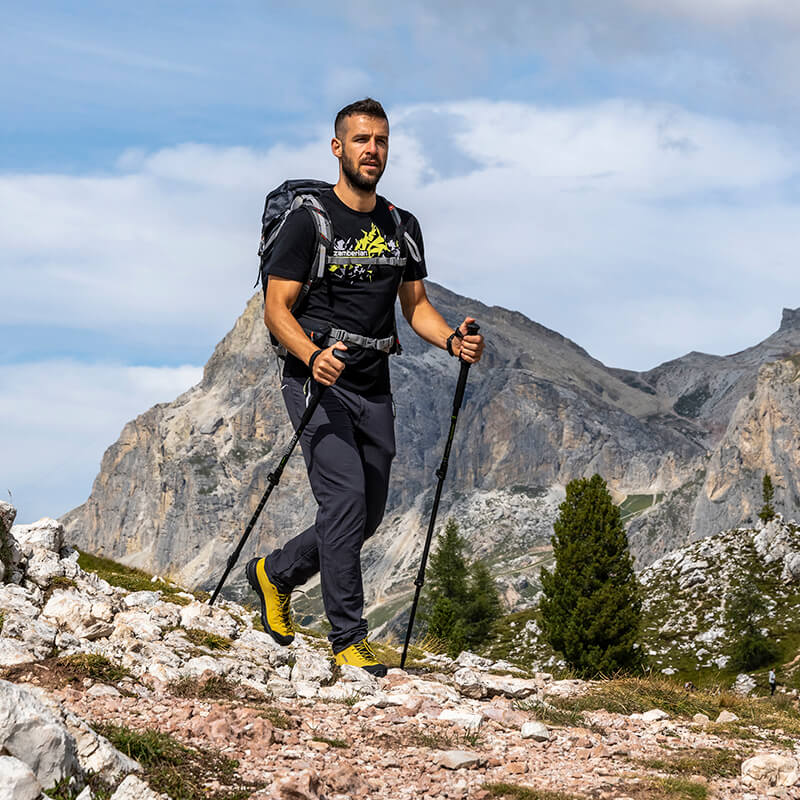 Zamberlan Free Blast GTX shoe