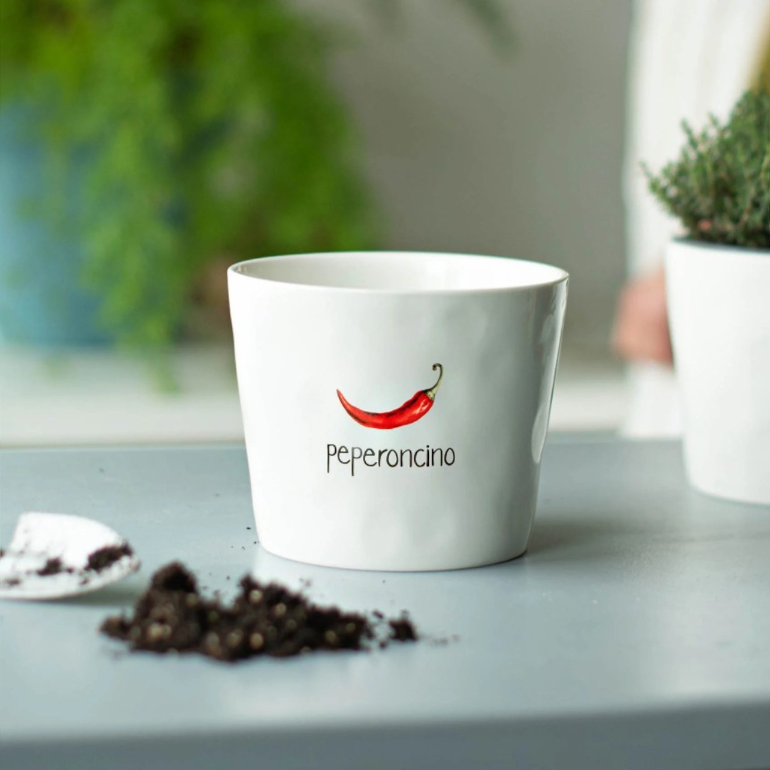 Vaso Peperoncino con Sottovaso