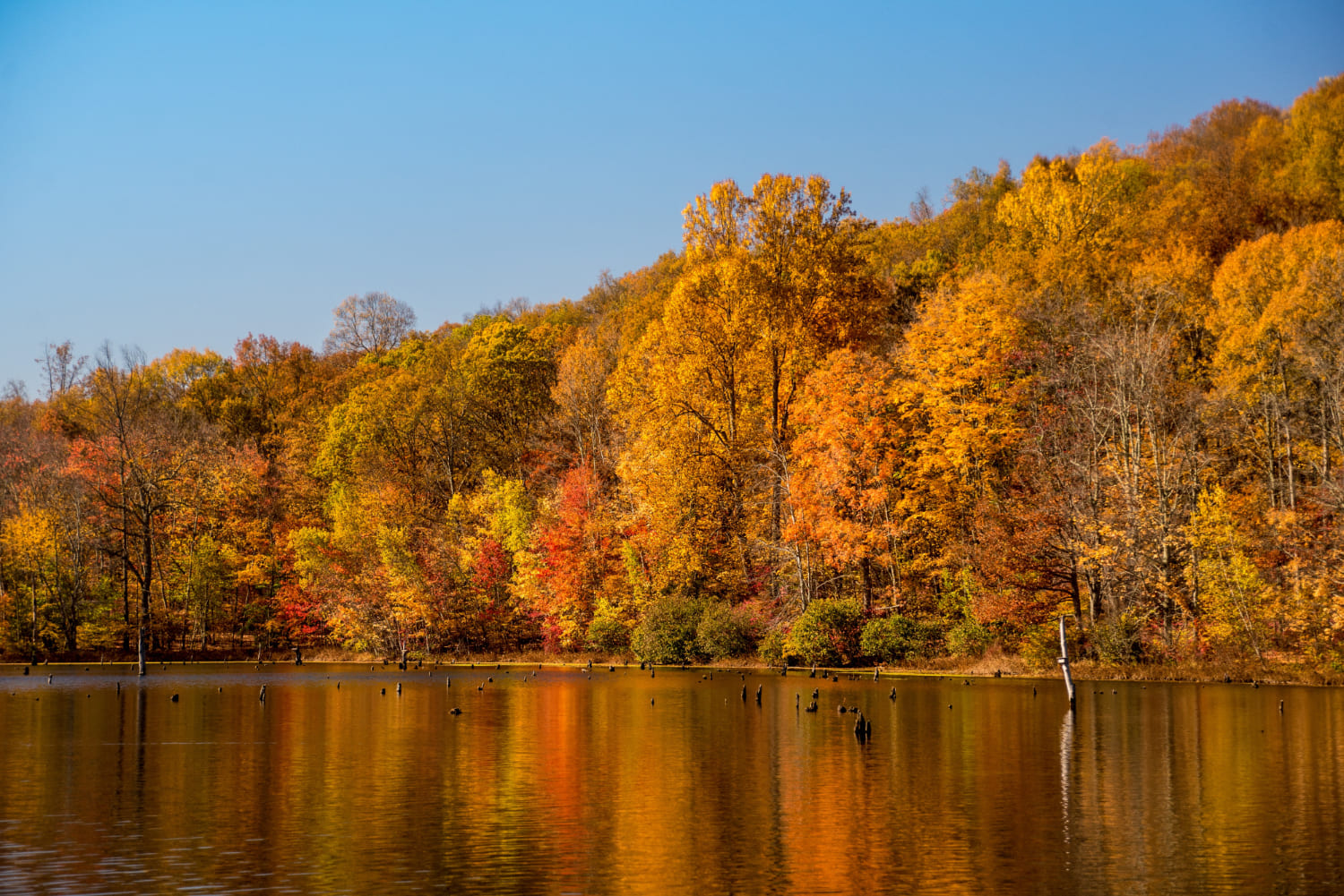 lago in autunno