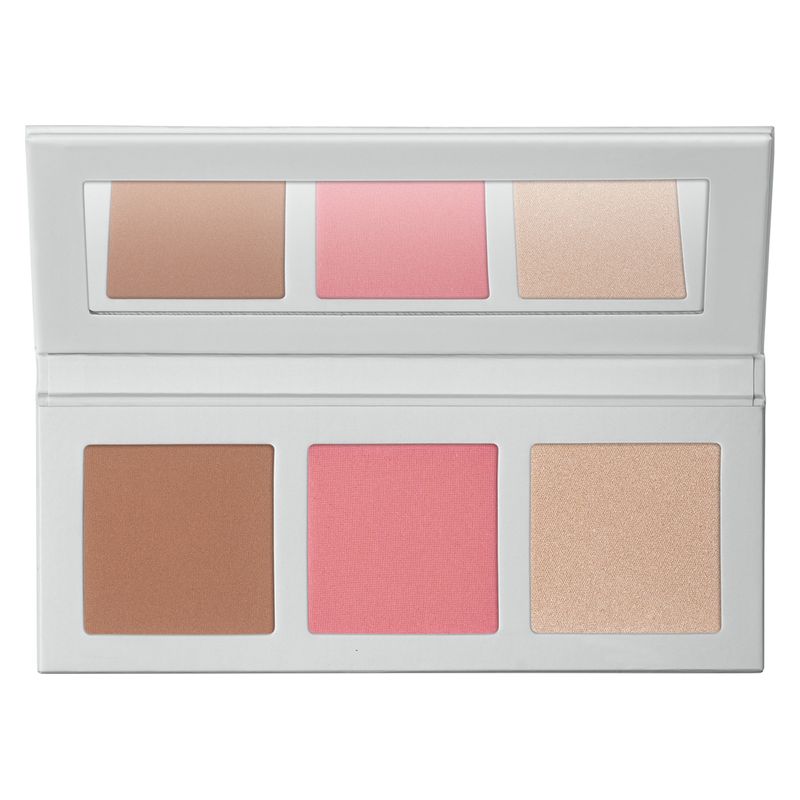 Palette Viso Icy Bloom n.356
