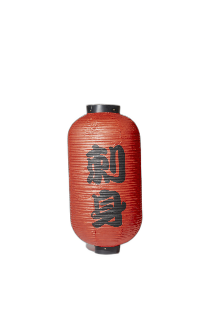 Go to image 1