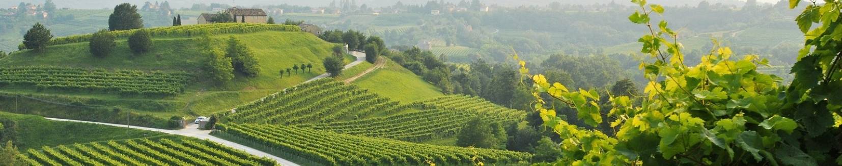 Asolo Prosecco Superiore DOCG