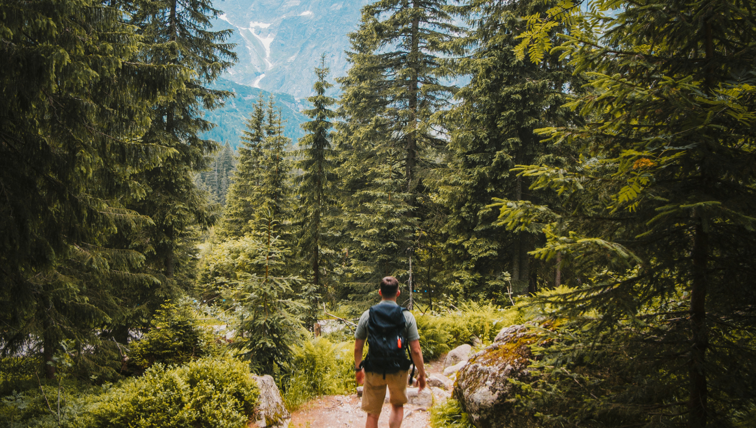 Persona caminando por un sendero rodeado de altos pinos, con una mochila de trekking a la espalda.