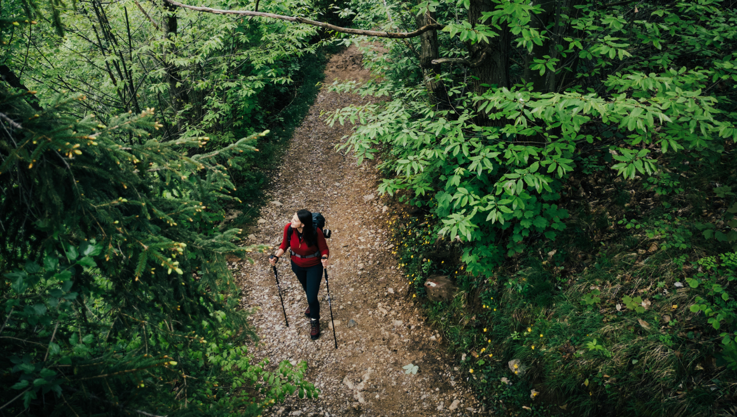 Mujer haciendo senderismo en un camino forestal, rodeada de vegetación densa y árboles de hoja ancha.