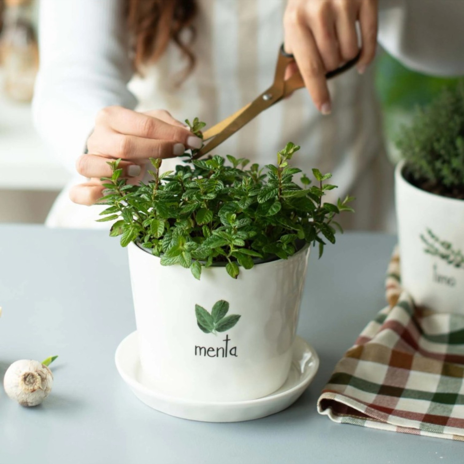 Vaso Menta, con sottovaso