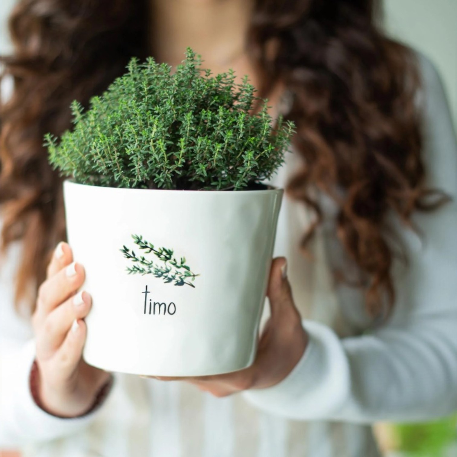 Vaso Timo, con sottovaso