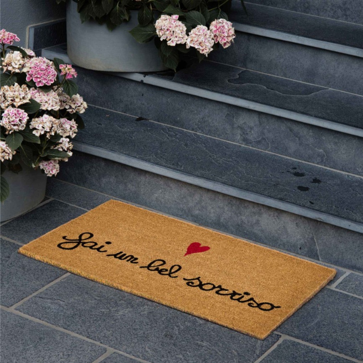 Zerbino - Vietato entrare di cattivo umore