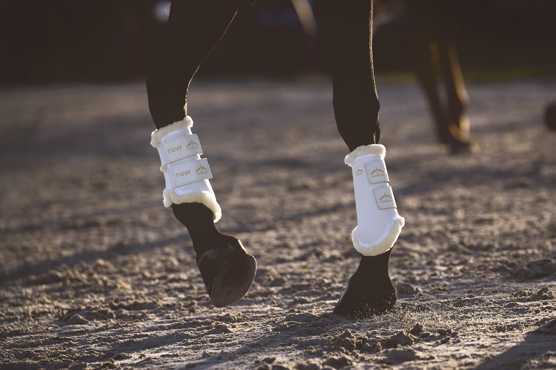 TRB SAVE THE SHEEP. All-day care. All around  protection.