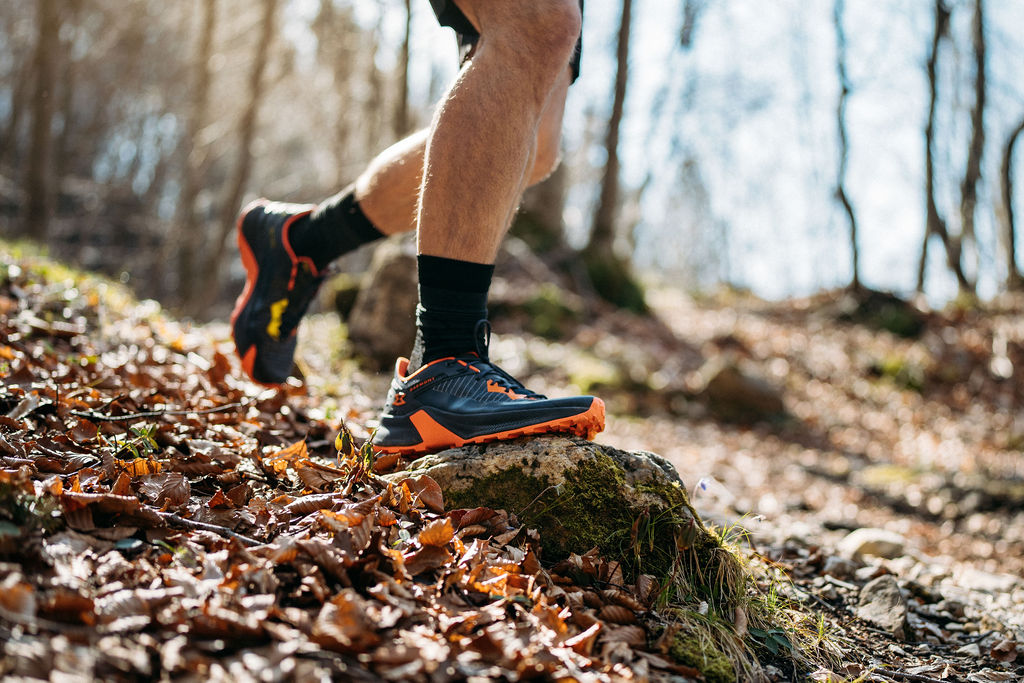 Decorative image technologies