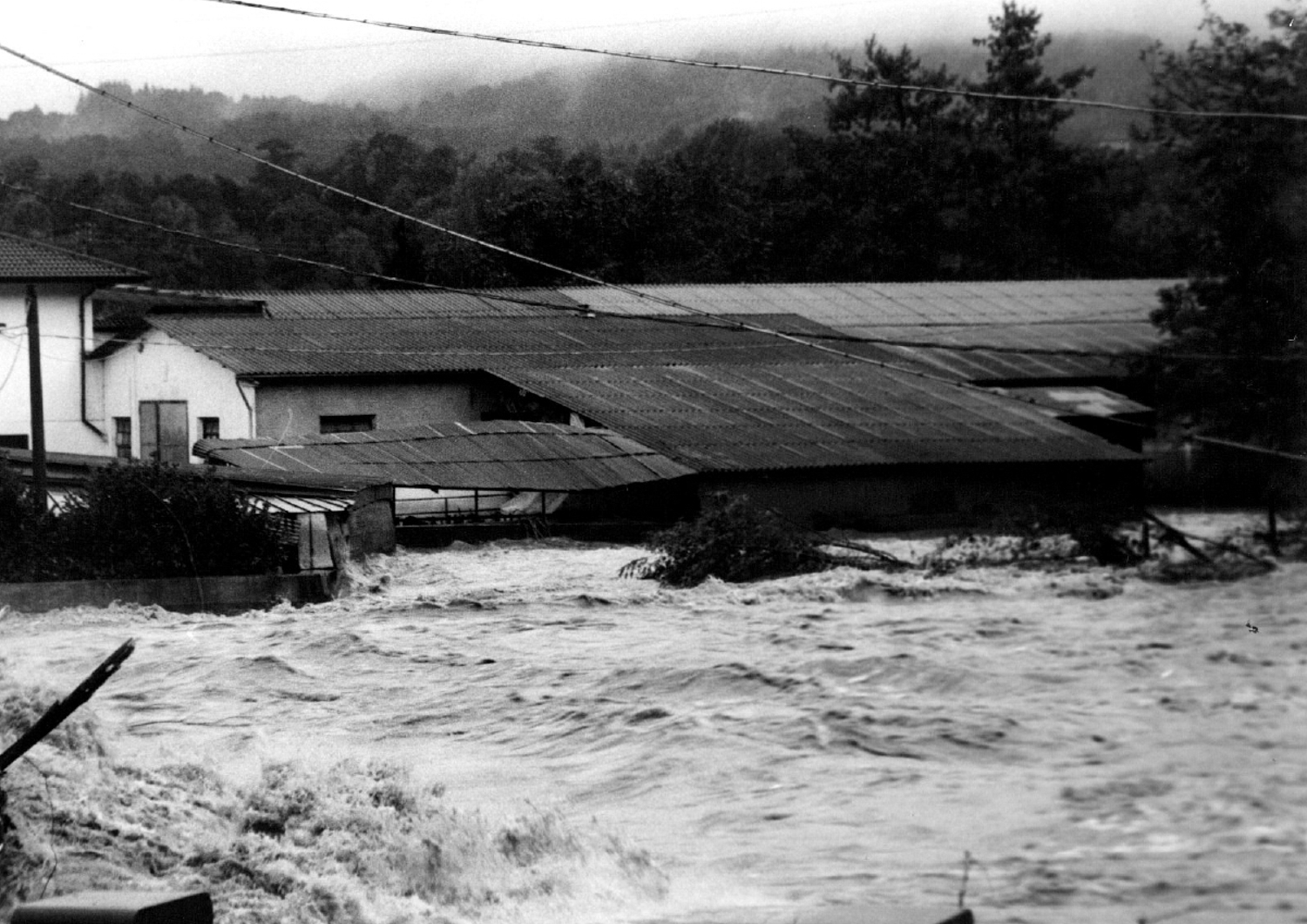 Alluvione in Piemonte - 3