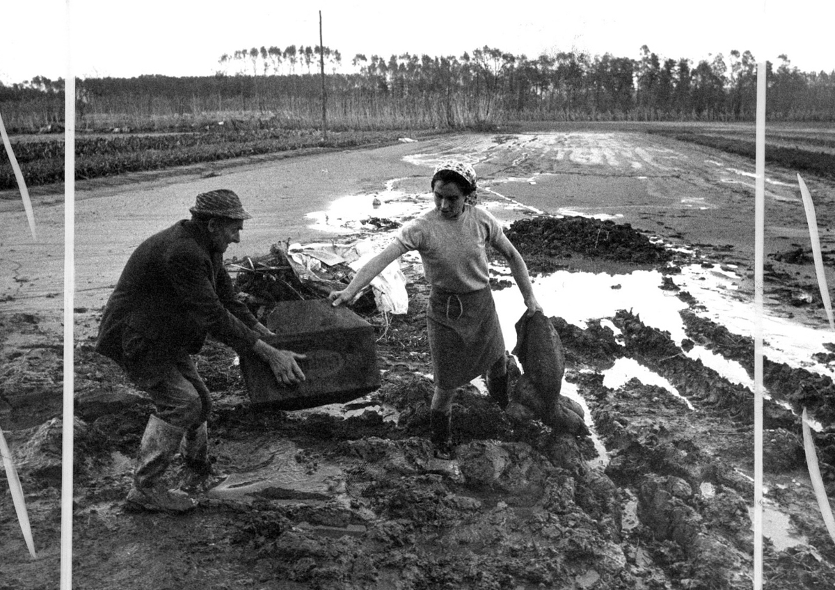 Alluvione in Piemonte - 2