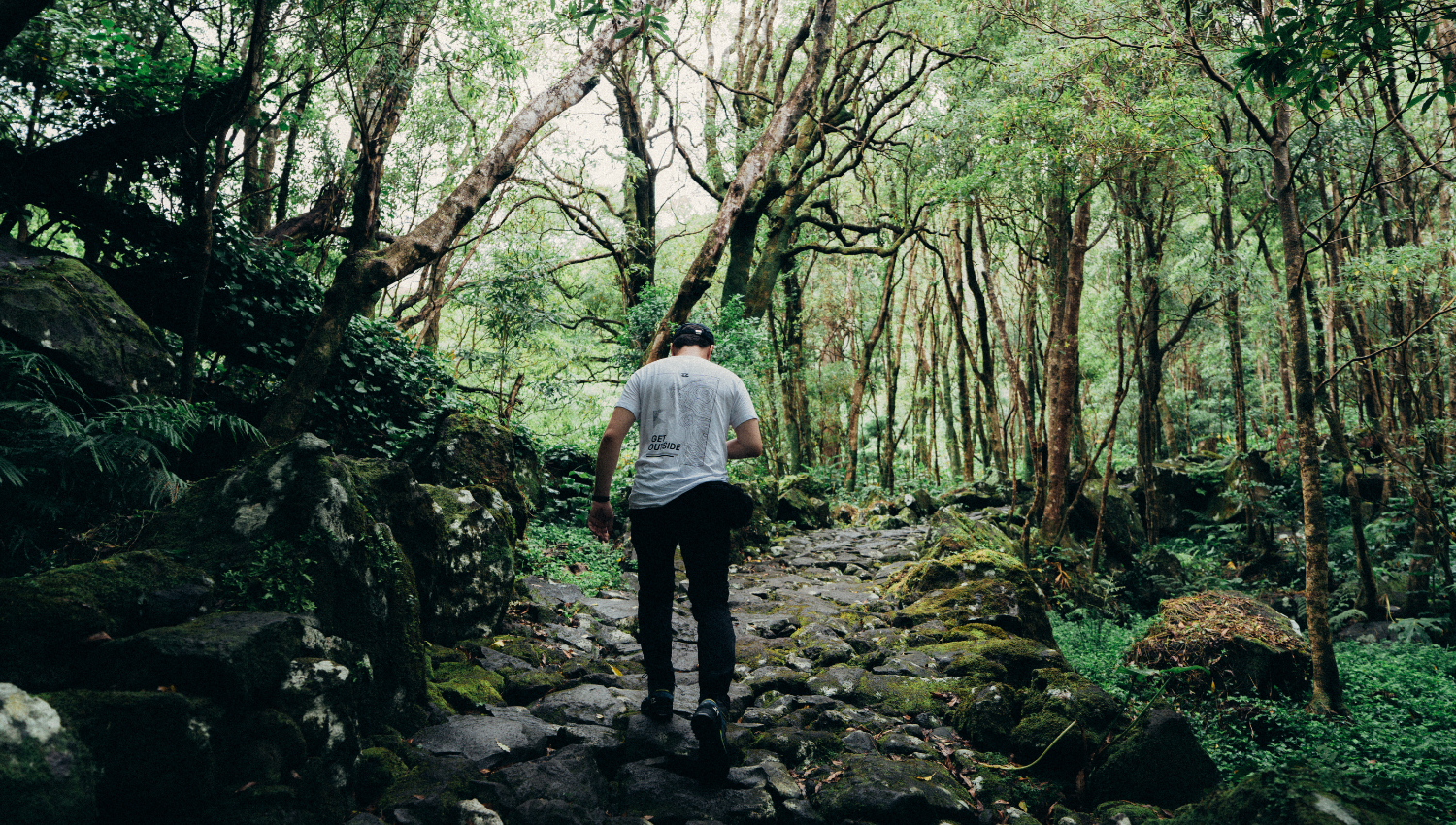 Persona che cammina su un sentiero di pietra immerso in un bosco fitto e verde.