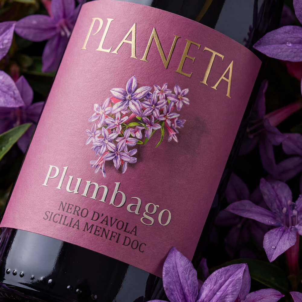 PLUMBAGO ROSSO BIO 0,750 - DOC MENFI