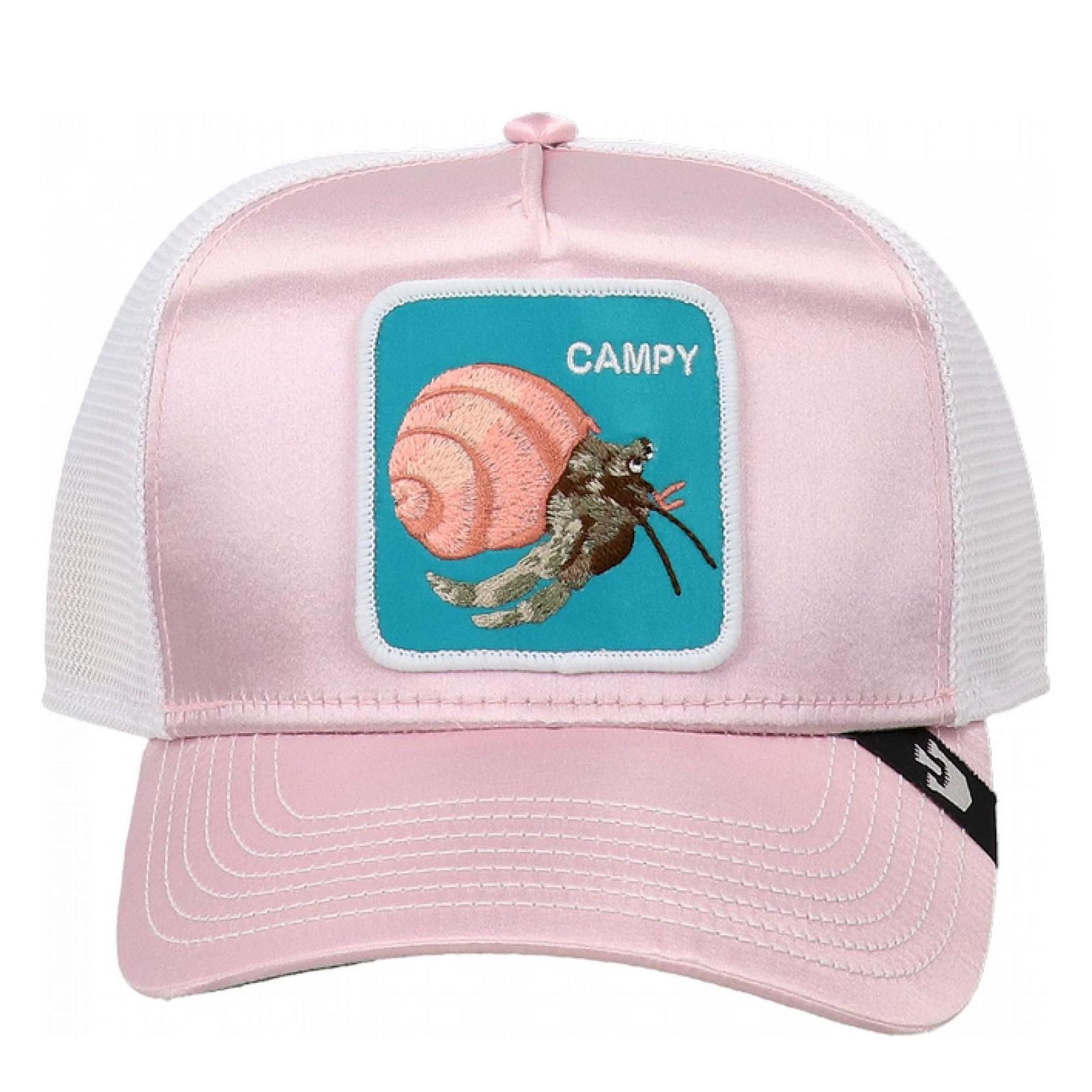 HERMIT THE CRAB