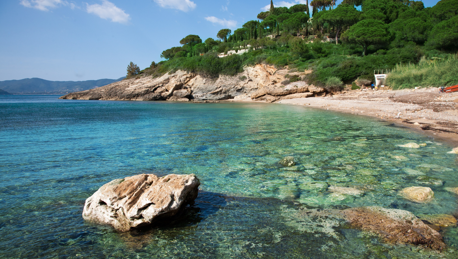 Cala isola d'elba con acqua limpida e fondale visibile, scogli bianchi e vegetazione mediterranea.