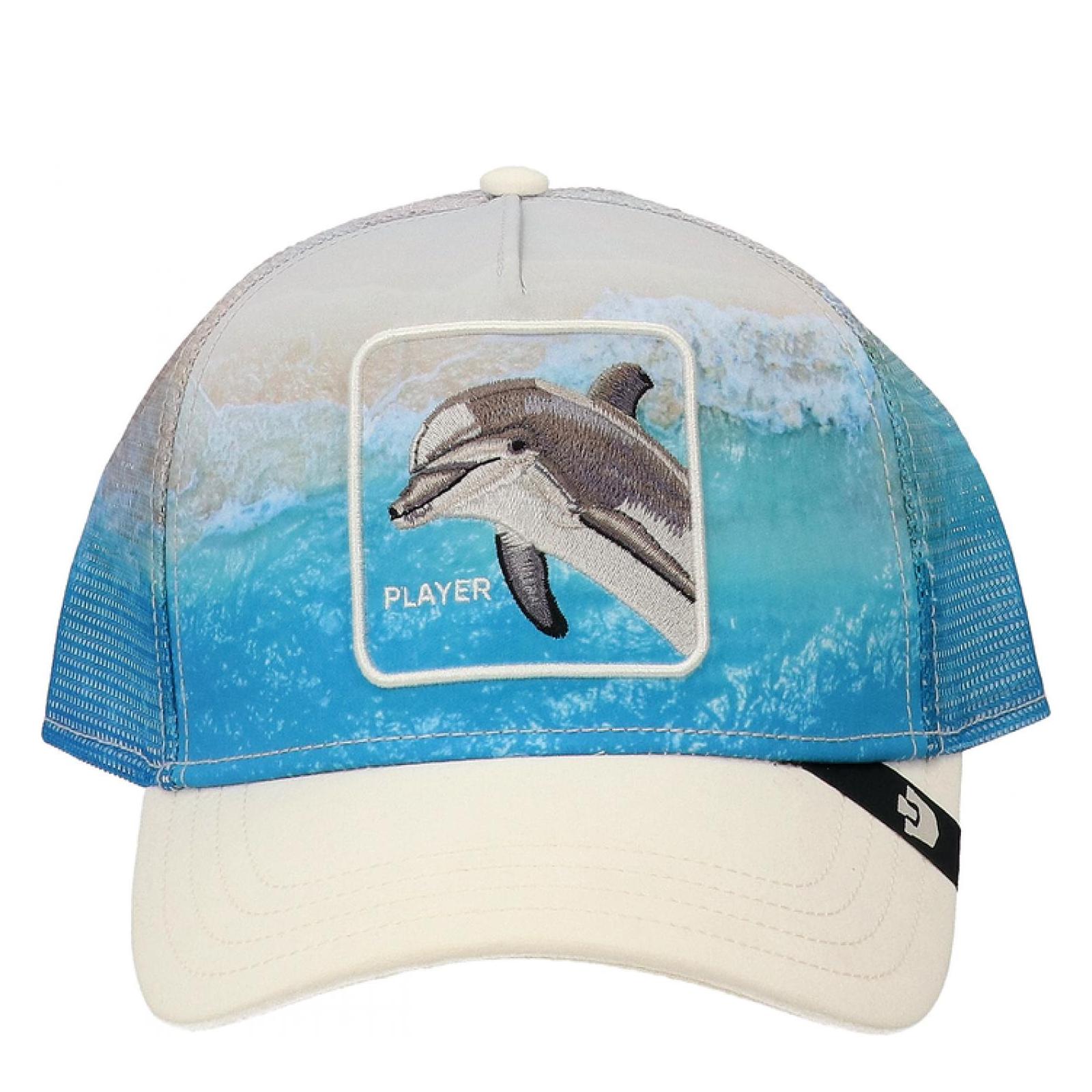 DOLPHIN IN THE ELEMENT