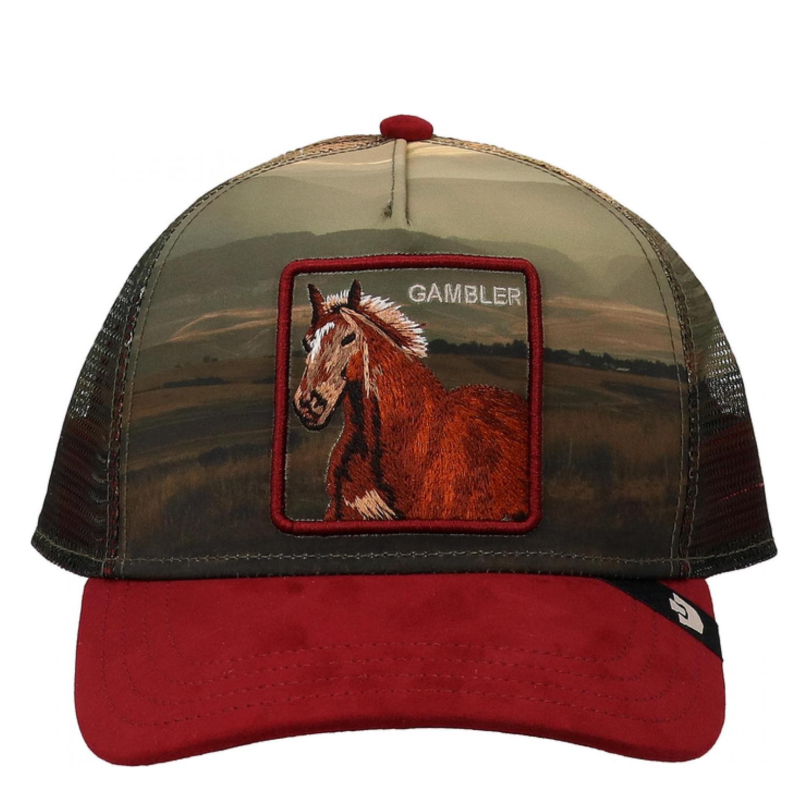 STALLION IN THE ELEMENT