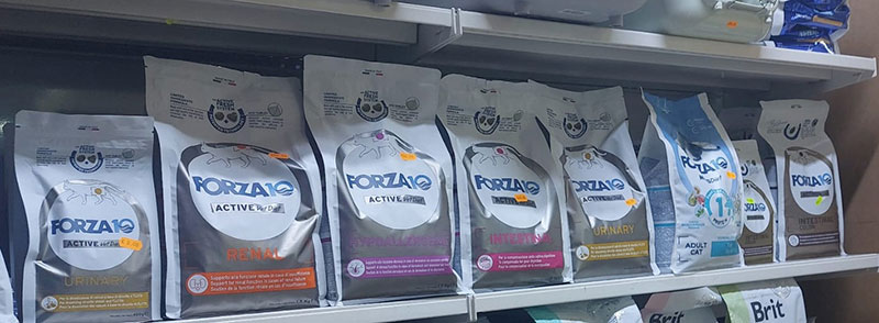 store