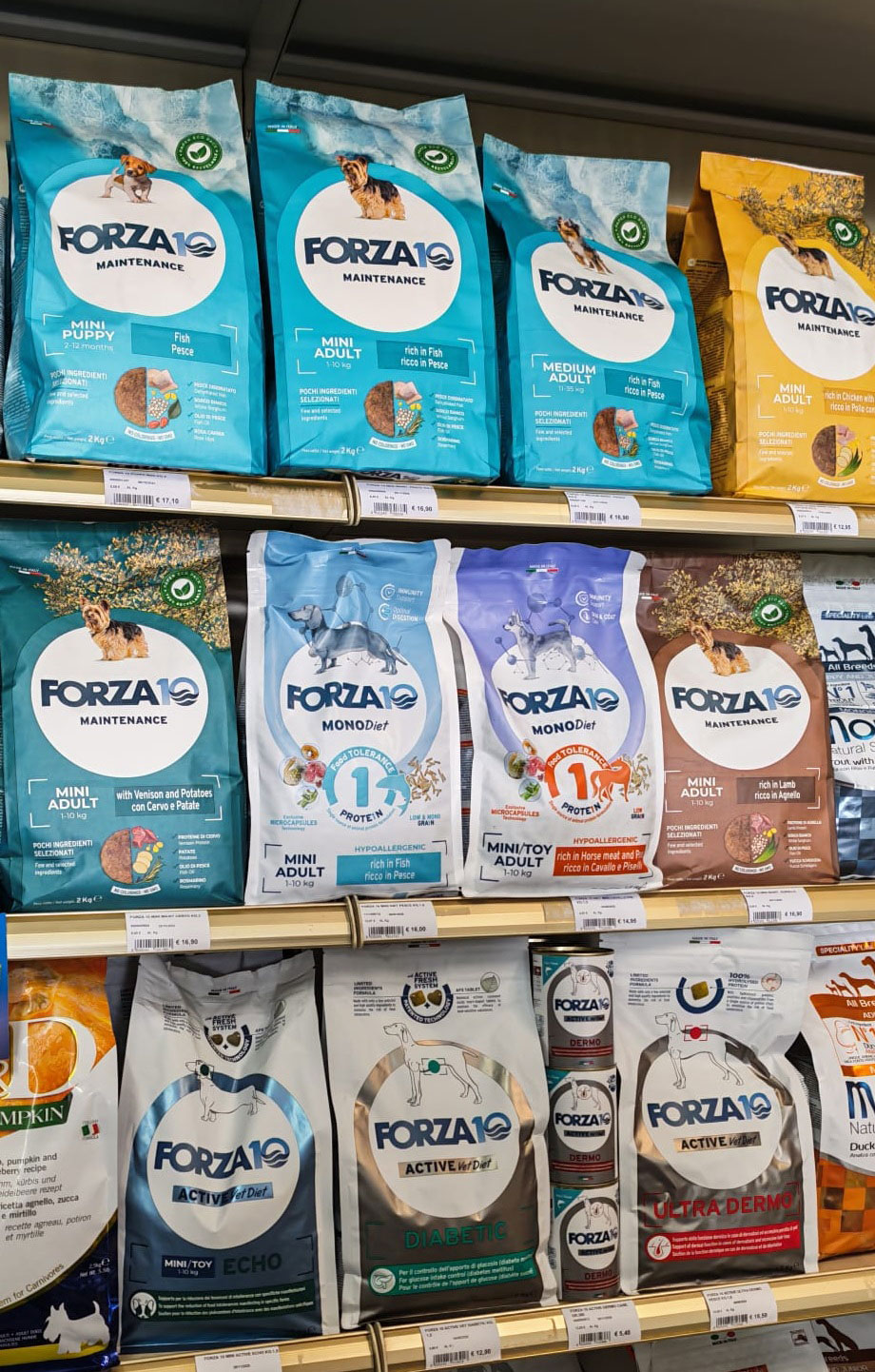 store