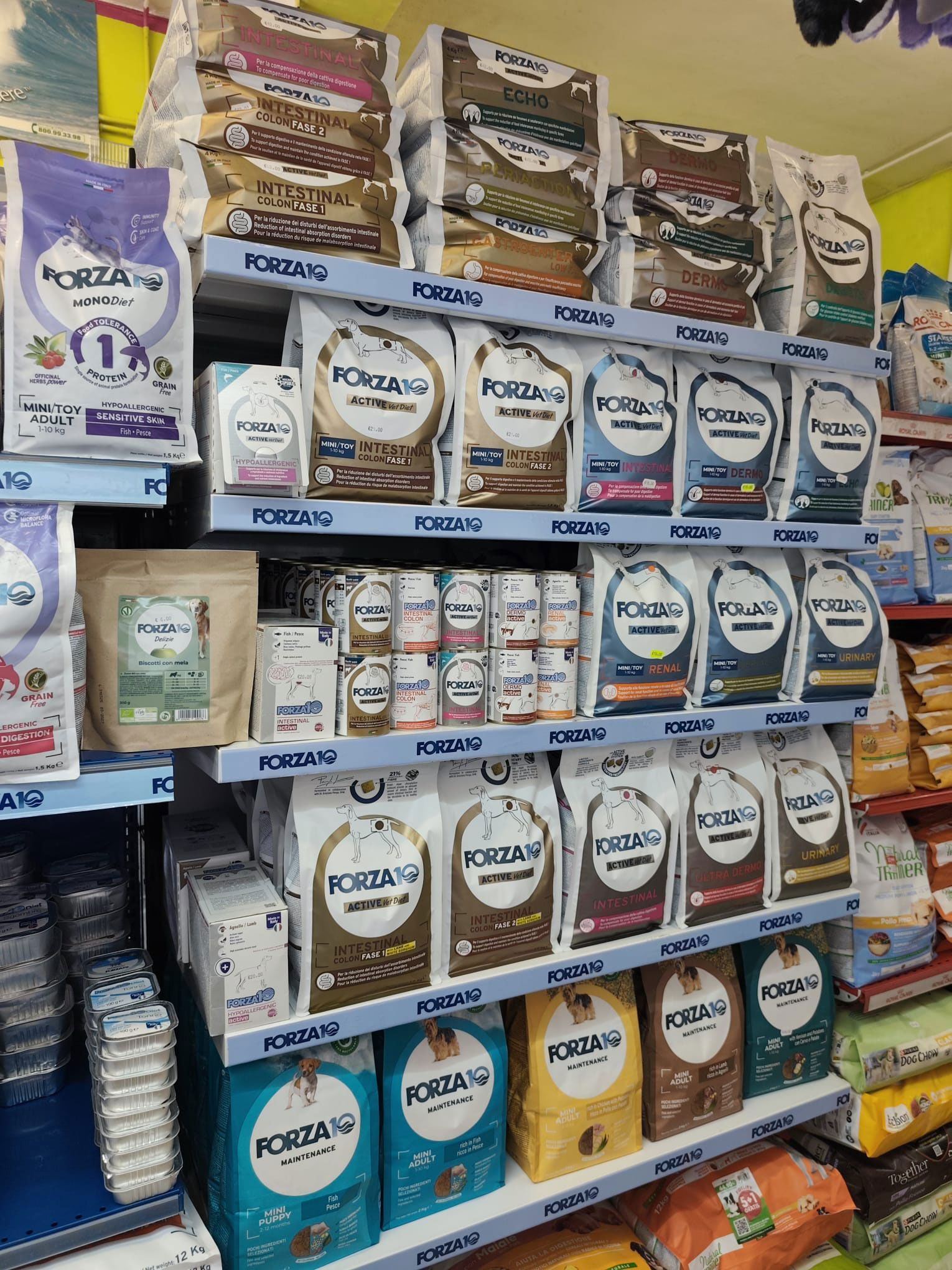 store