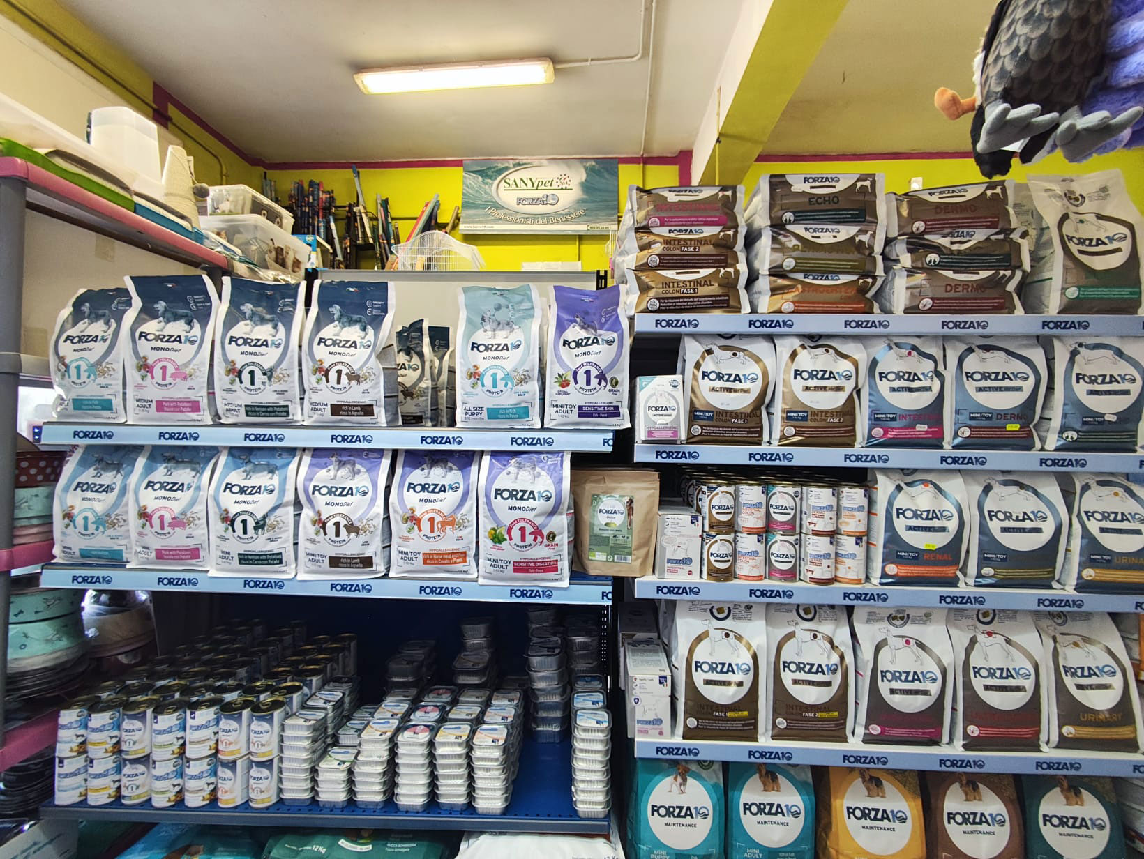 store