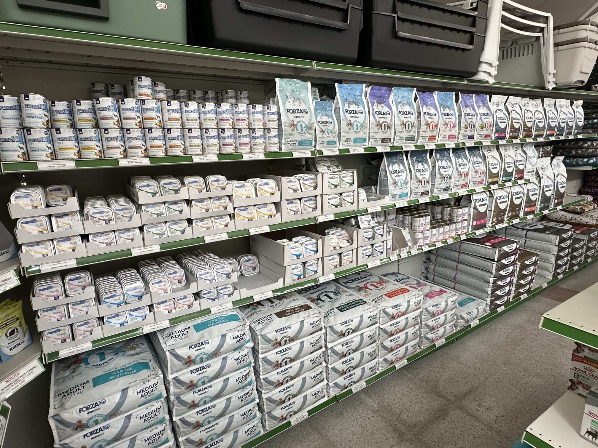 store