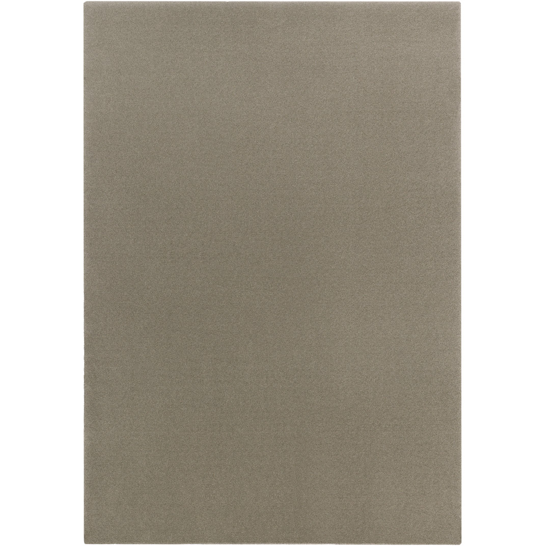 ALMA OLIVA – Armonia Naturale e Design Contemporaneo