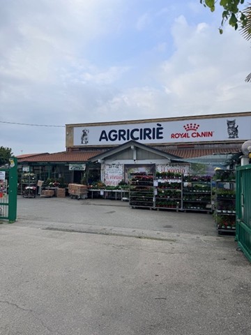 store