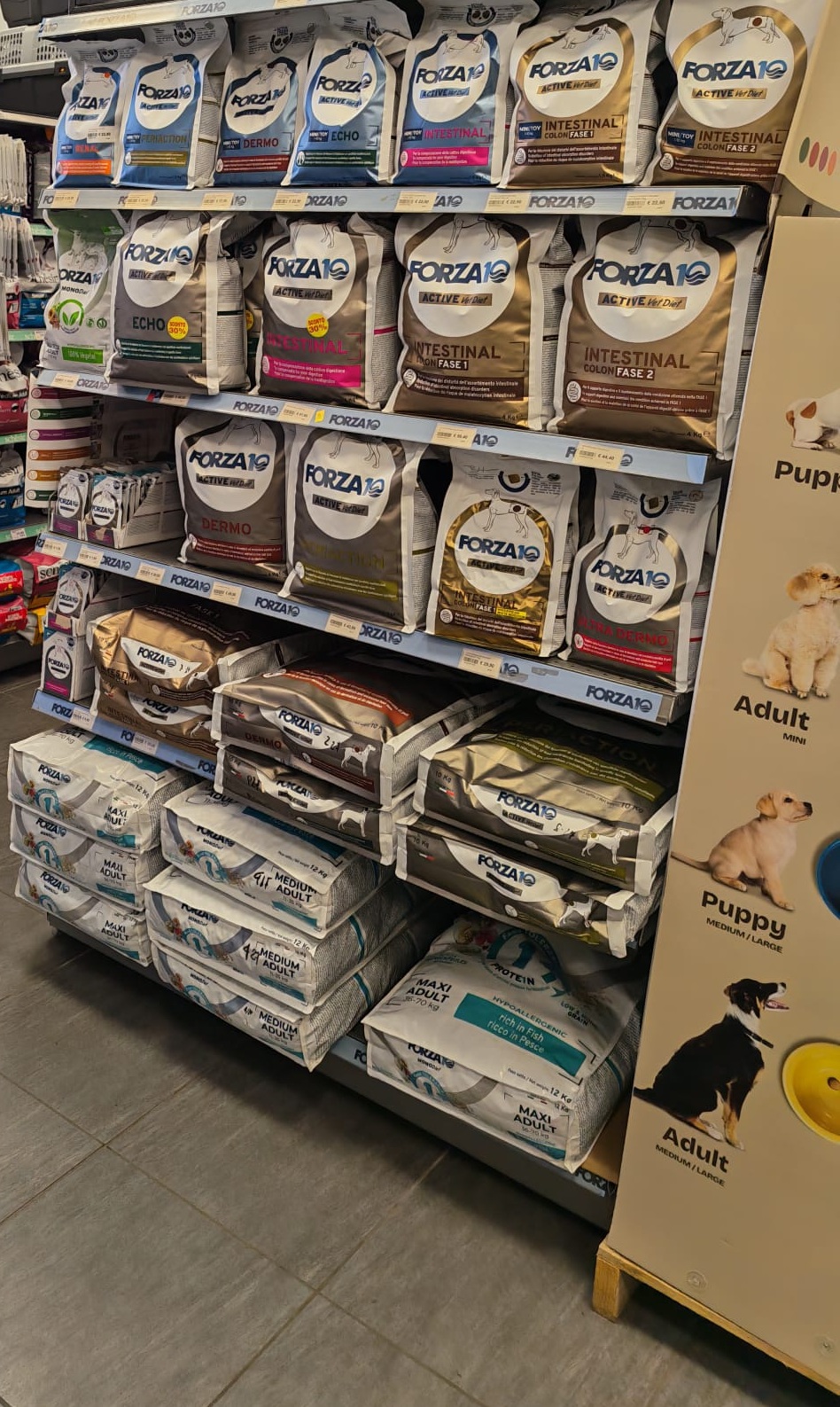 store