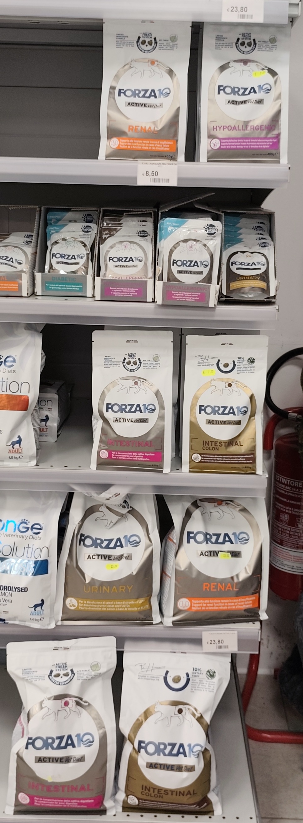 store