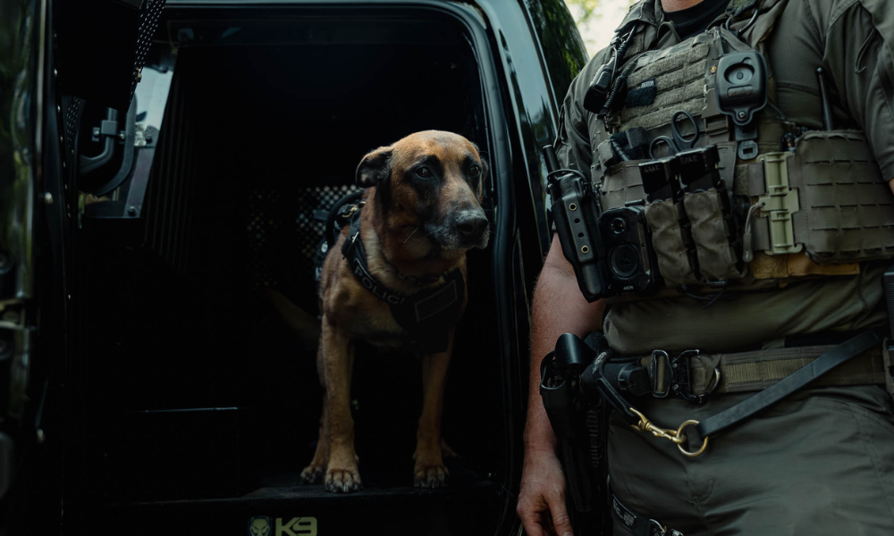     Police K9 standing inside a tactical vehicle next to an officer wearing operational gear and body camera equipment.