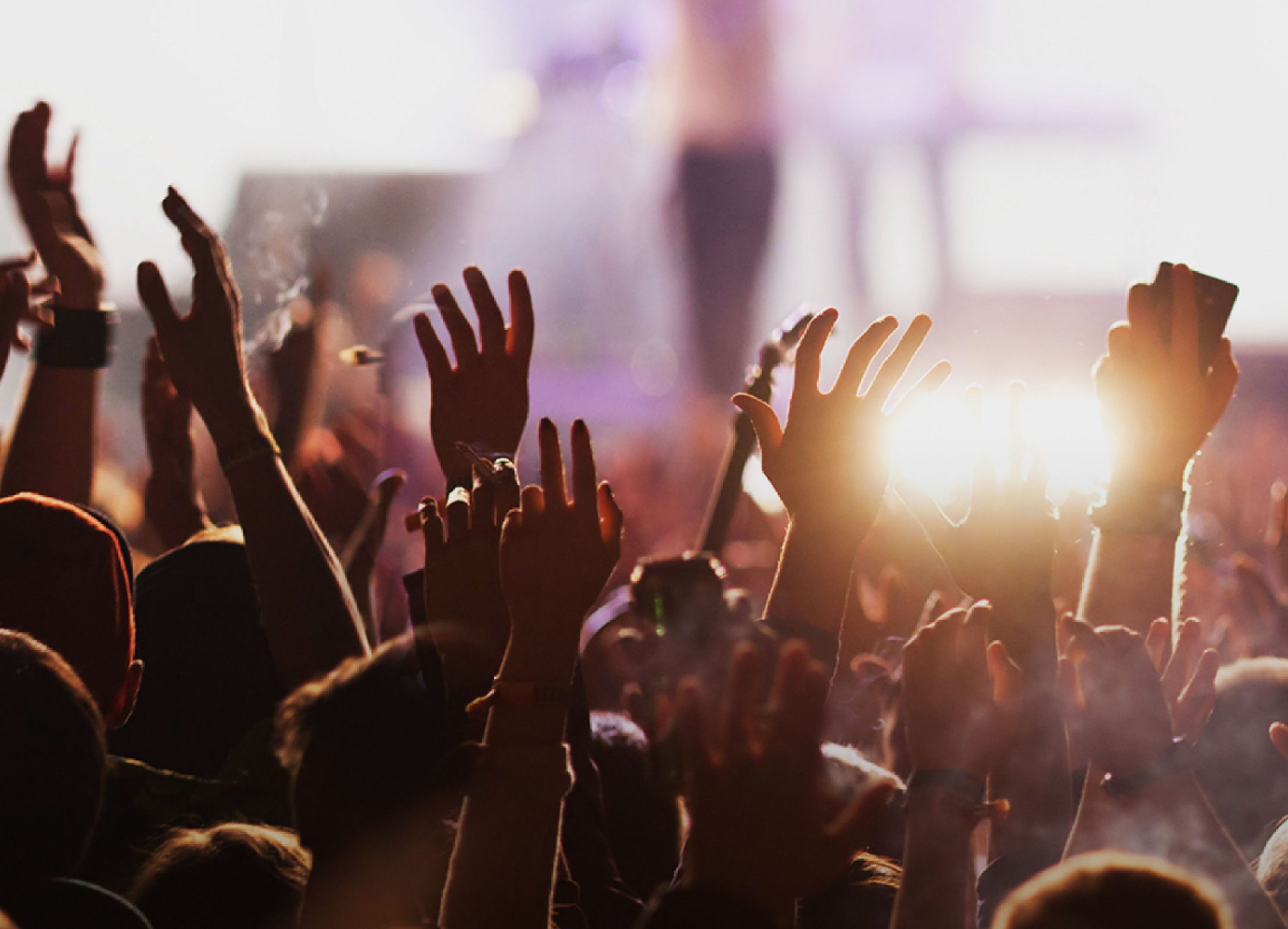 Musica, prevenzione e solidarietà: Specchio dei tempi al Flower Festival di Collegno