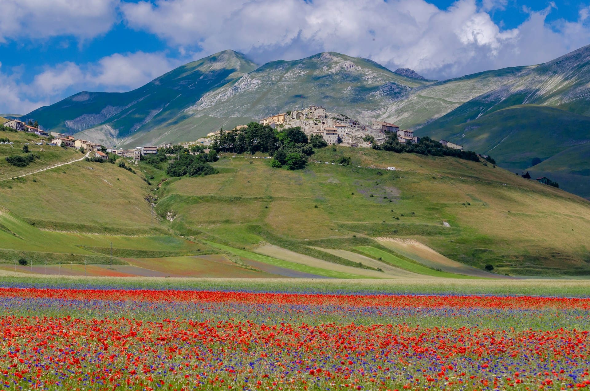 campo di fiori ai piedi delle montagne a castelluccio