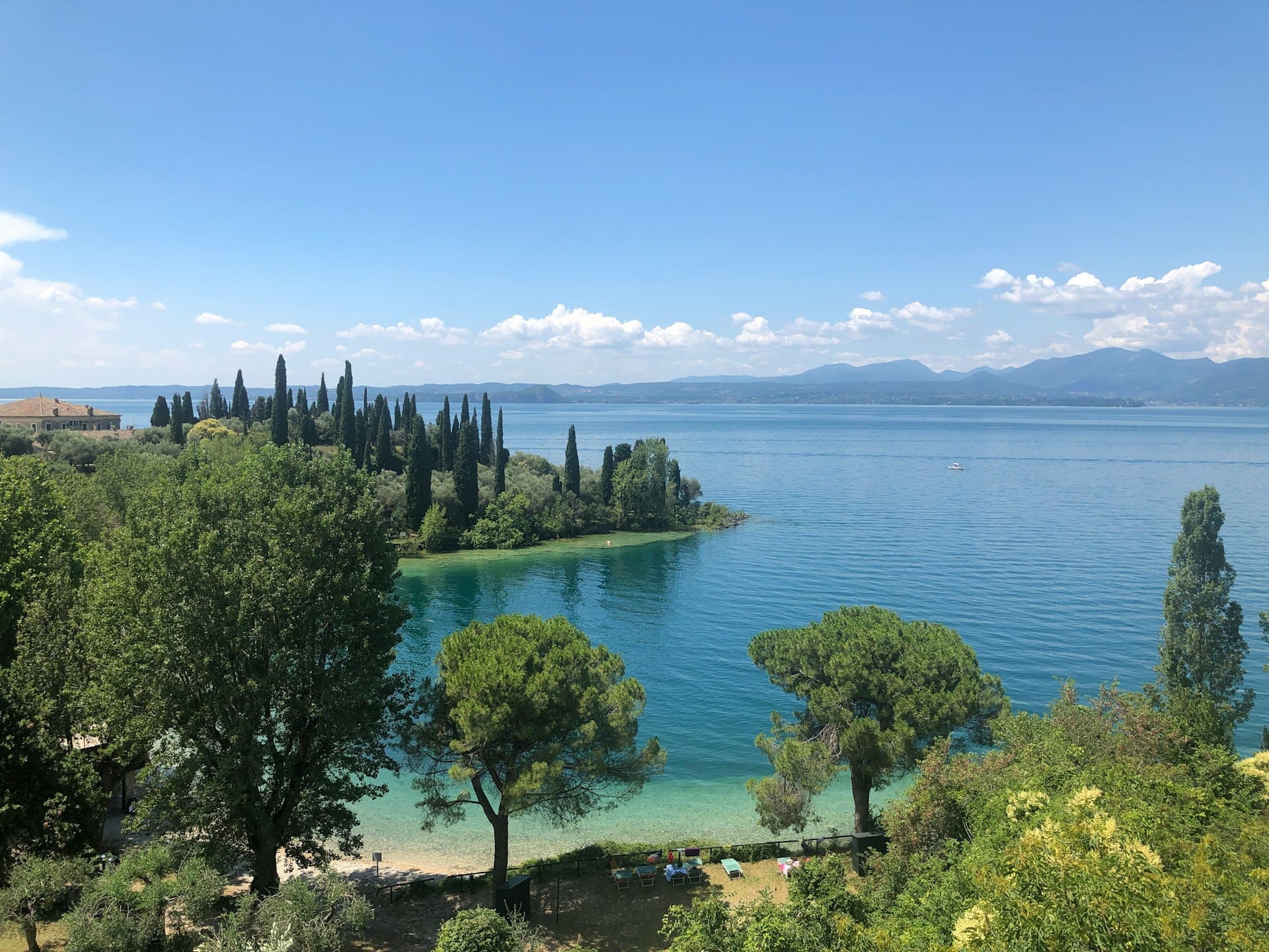 alberi sul lago di garda