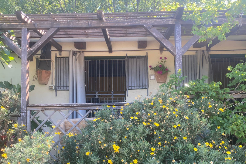 Dettaglio dei box per cani, con fiori in primo piano.