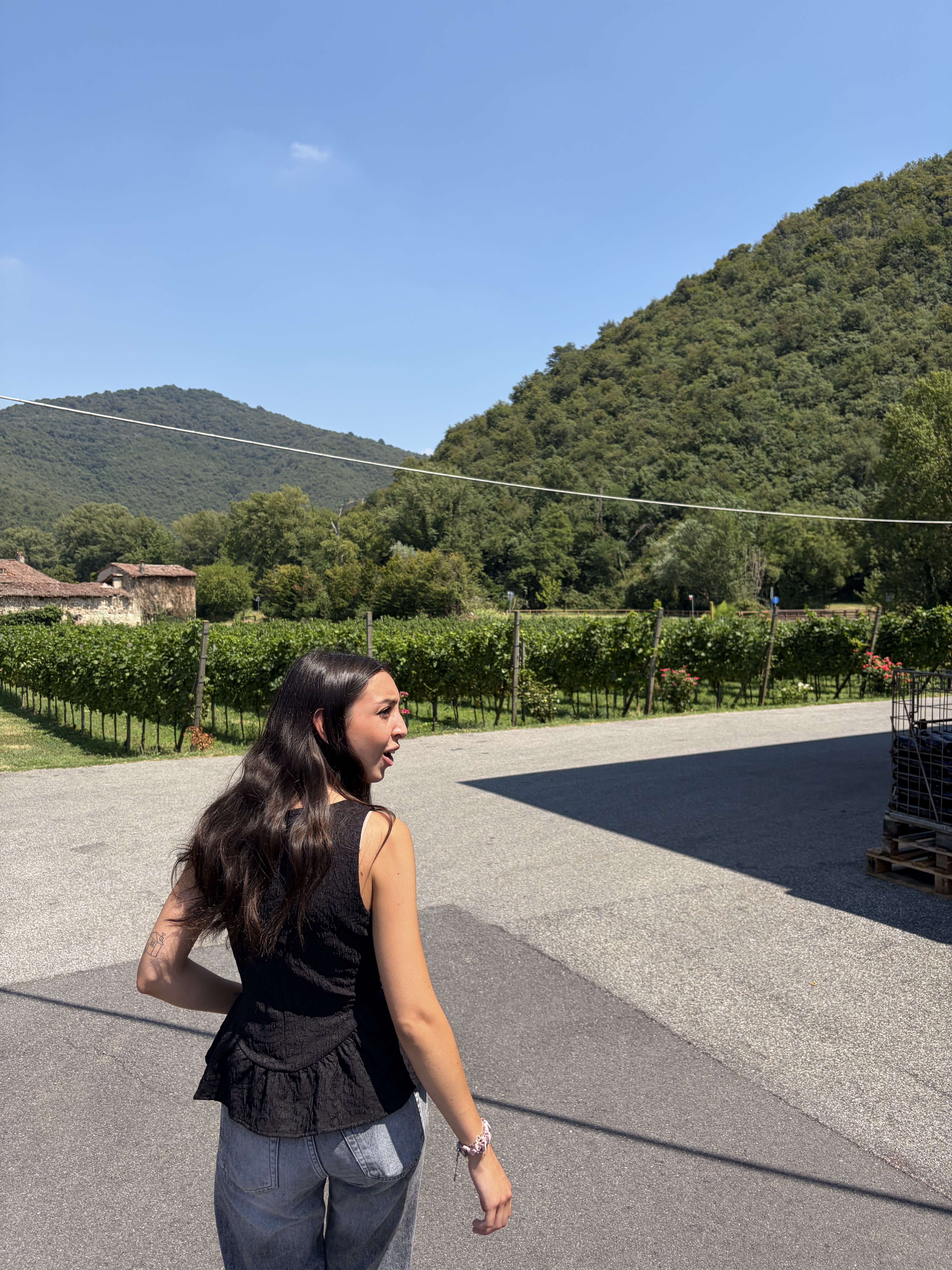 Ingresso al vigneto sperimentale della cantina