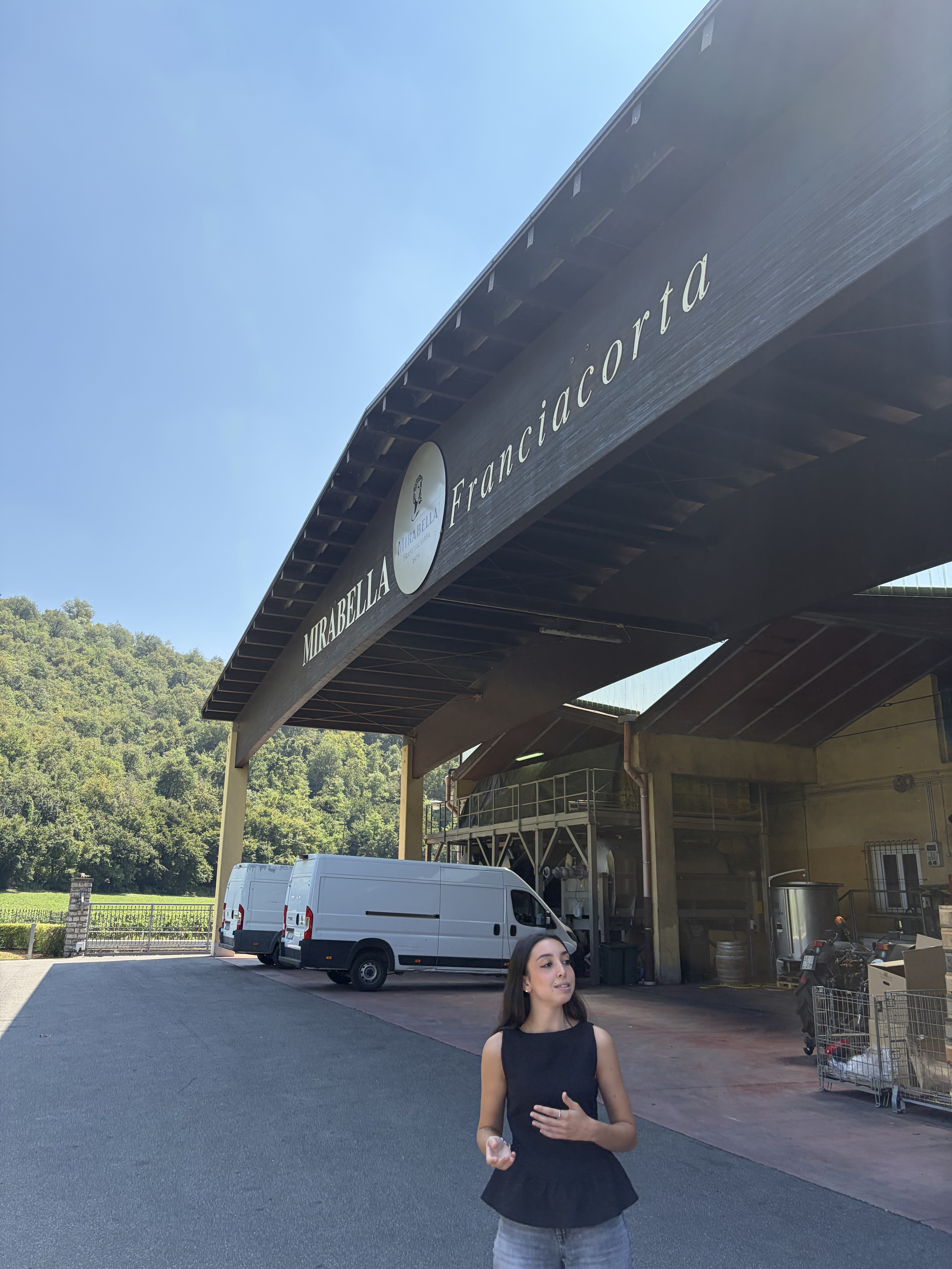 Dettaglio delle viti nel vigneto sperimentale