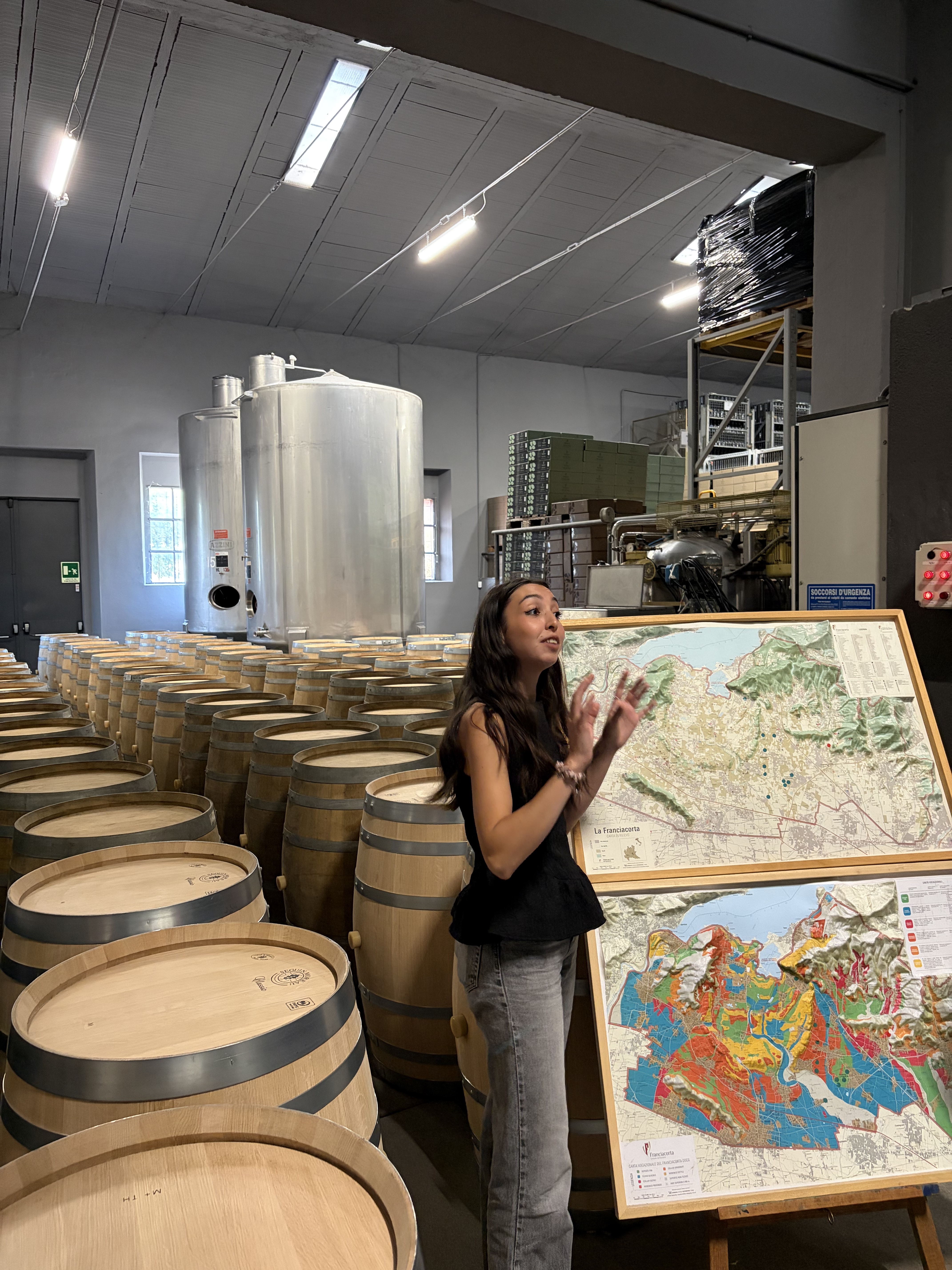 Mappa dei vigneti della cantina Le Marchesine in Franciacorta