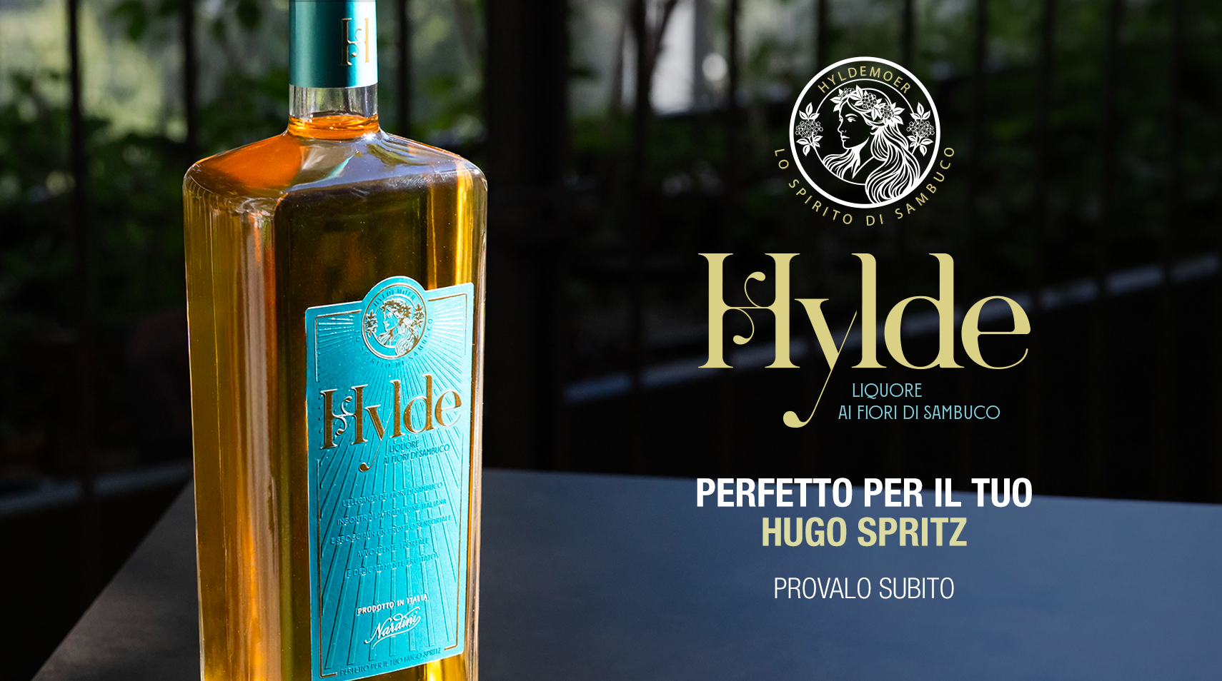 Hylde  cover