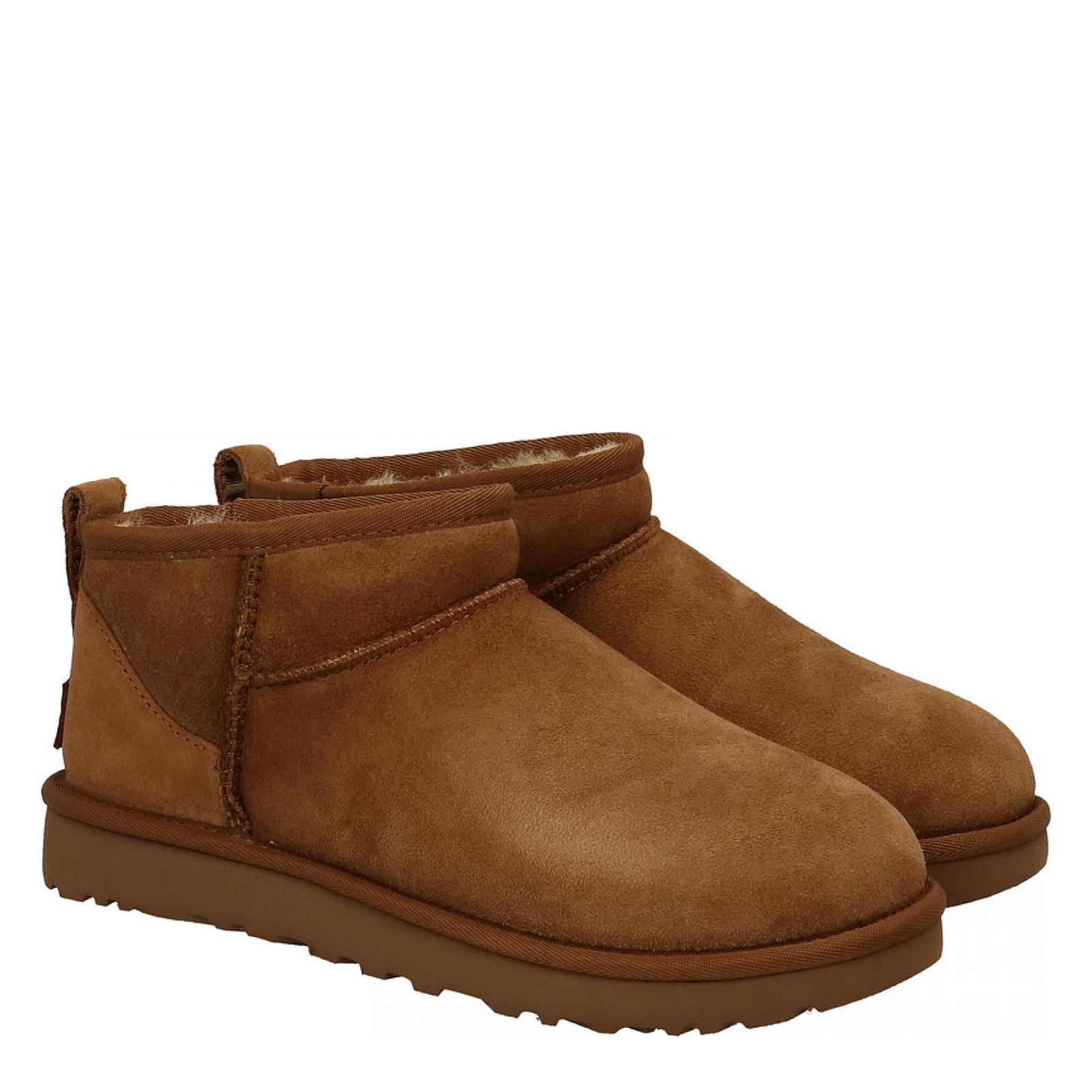 chestnut