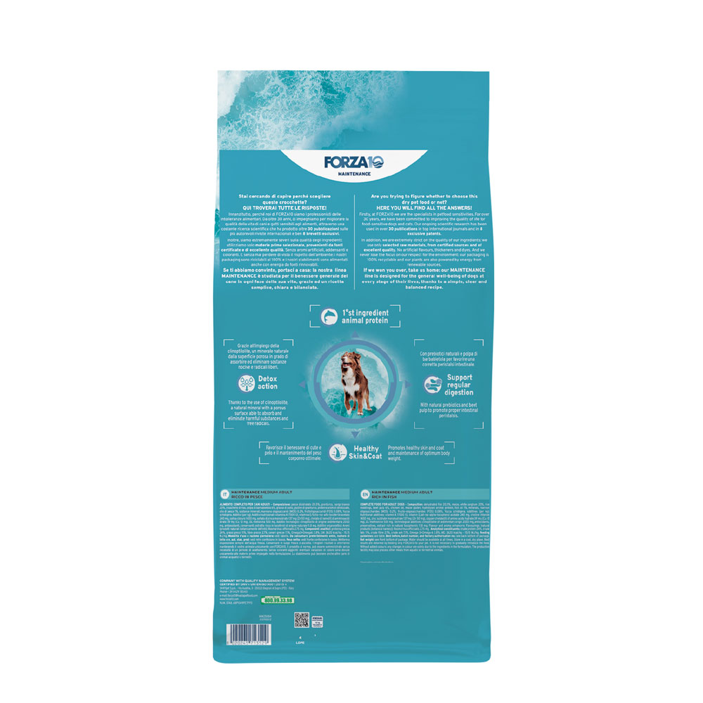 Medium Adult - Pesce
