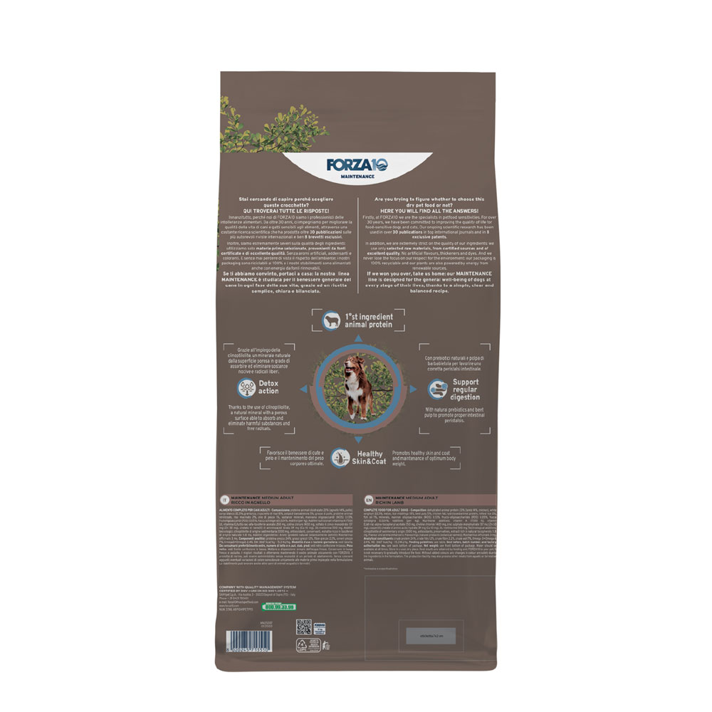 Medium Adult - Agnello