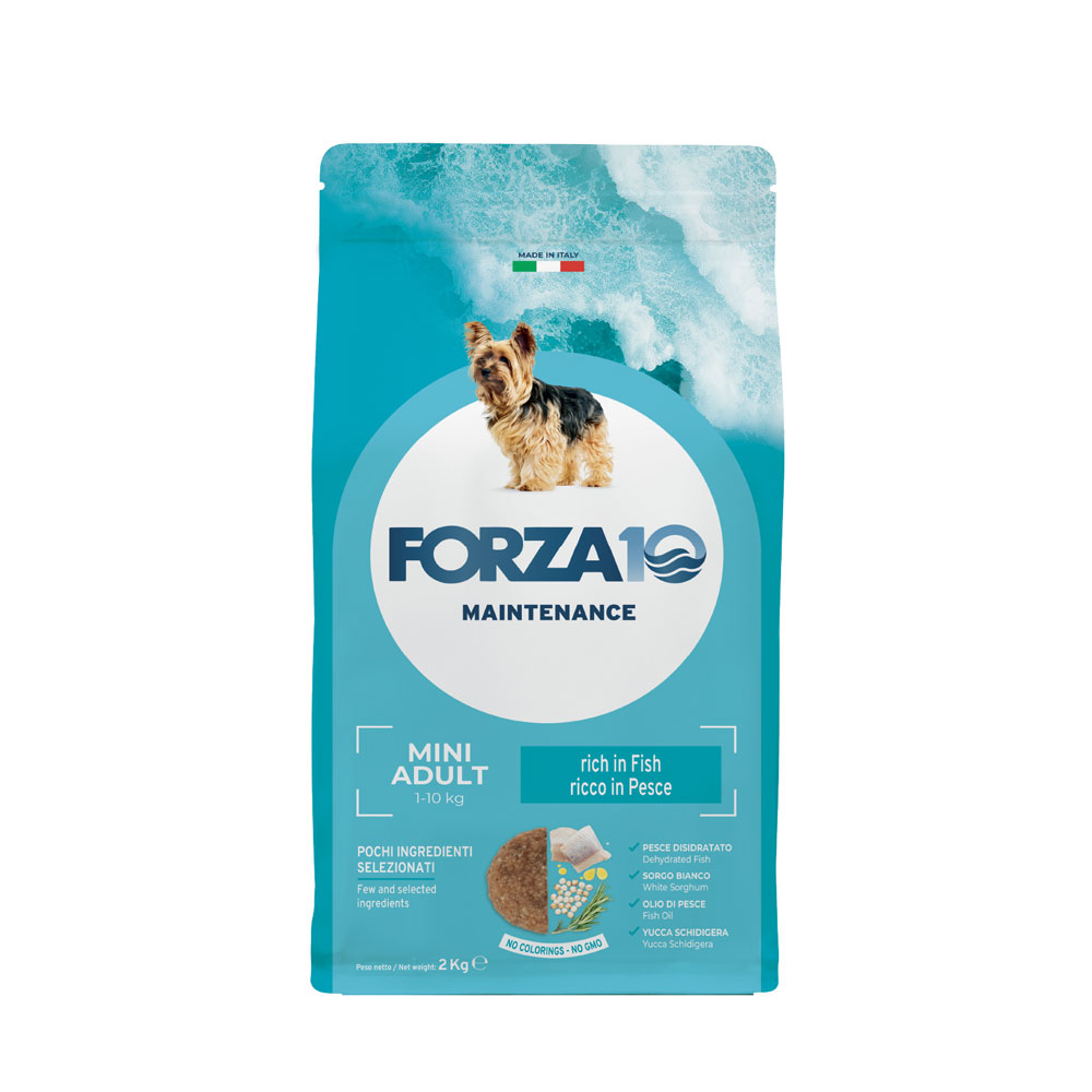 FORZA10