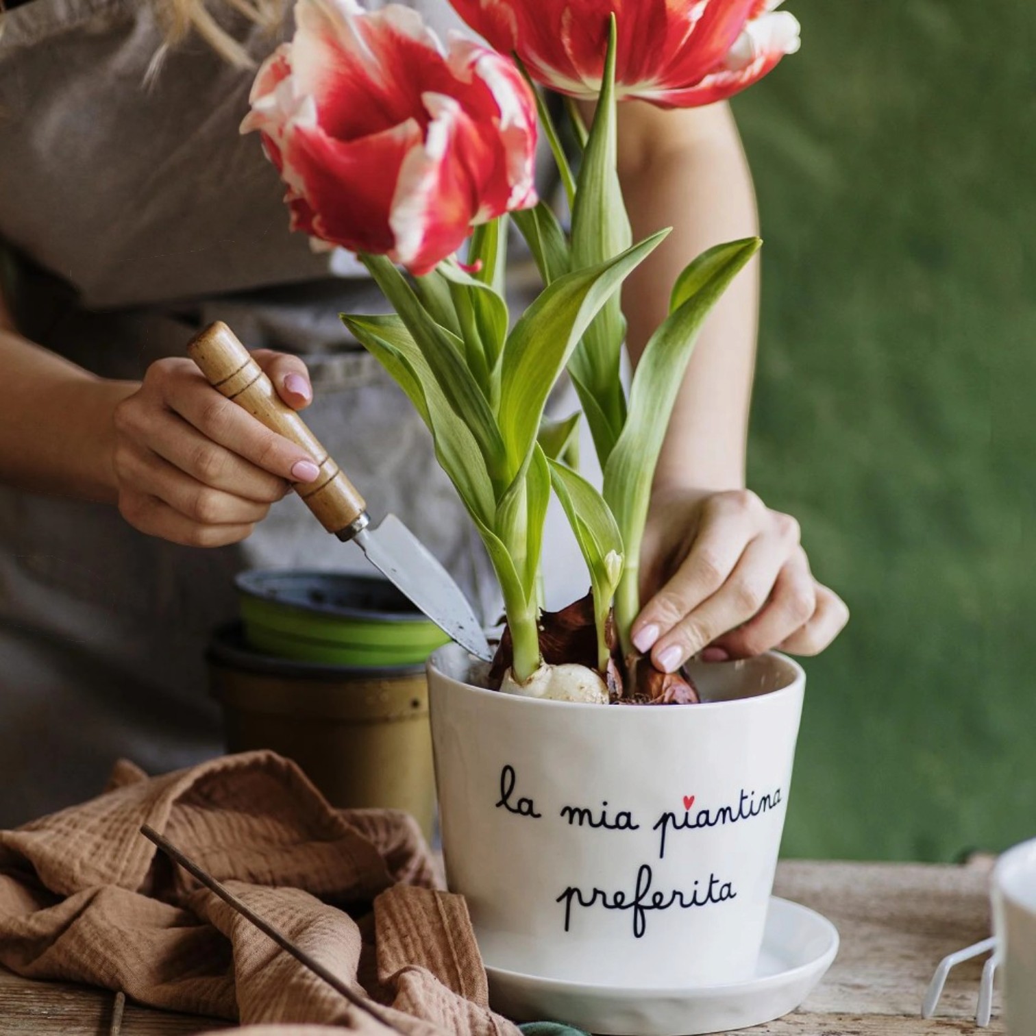 Vaso La Mia Piantina preferita