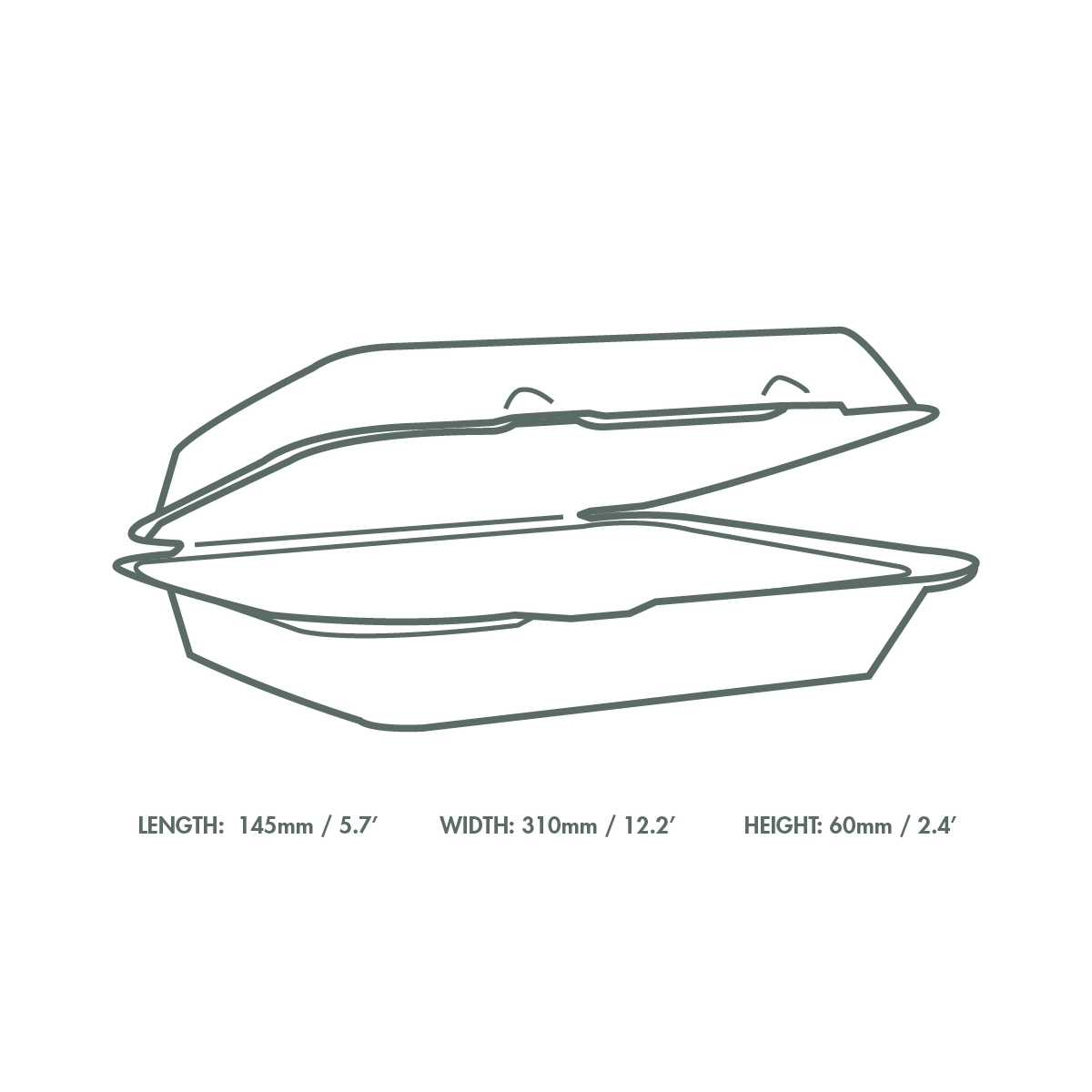 Contenitore asporto con coperchio biodegradabile LUNGO - 14,5X31X6cm - View1