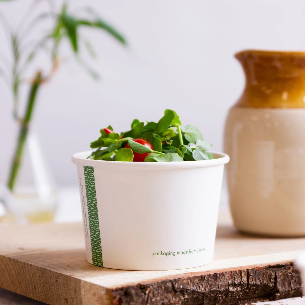 Ciotole asporto zuppe in cartoncino - 500ml serie green stripe - D115 - View1