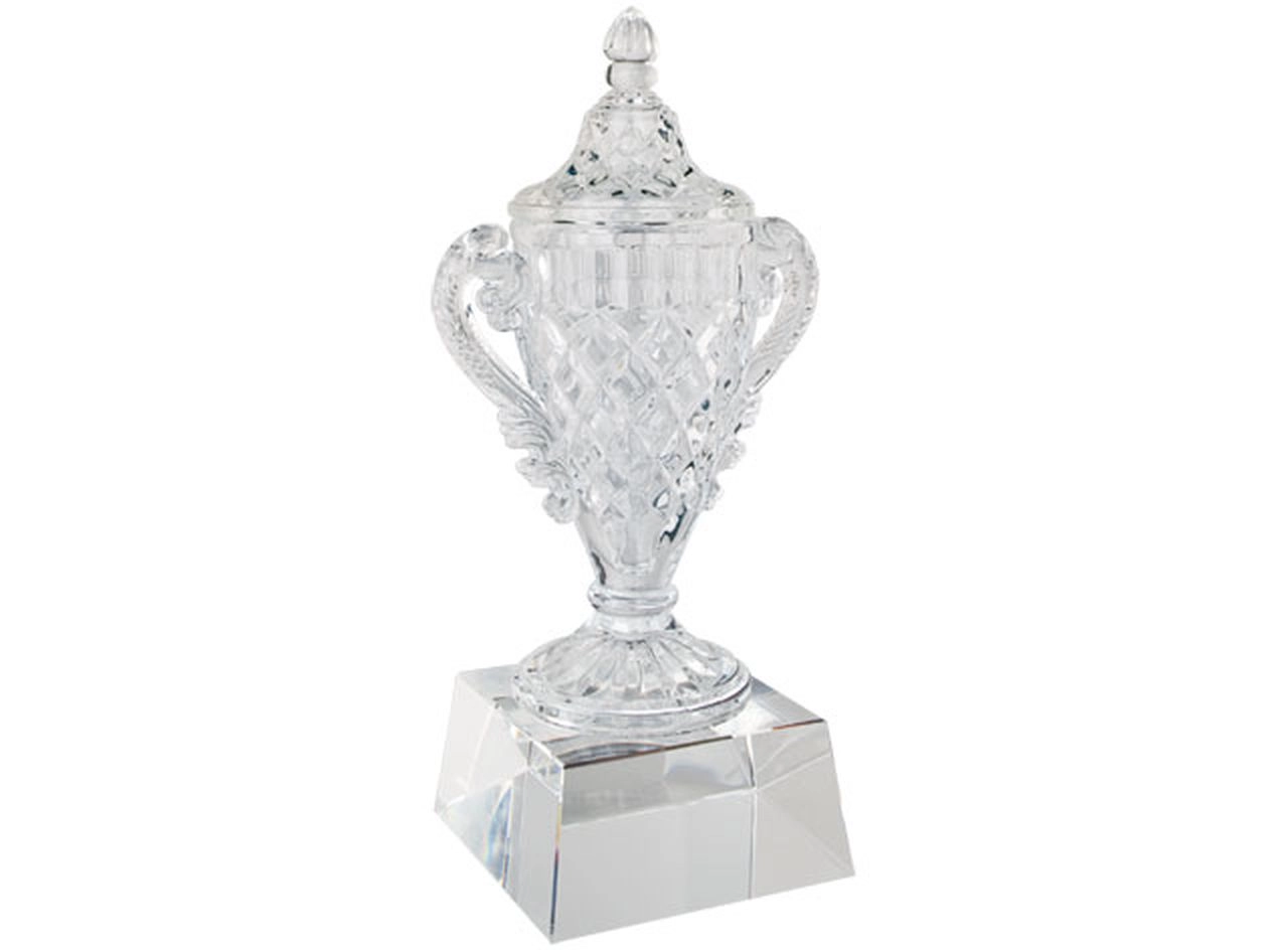 Trofeo Di Vetro In Bianco Del Premio Su Un Fondo Trasparente Scaffale Di Vetro 91376589