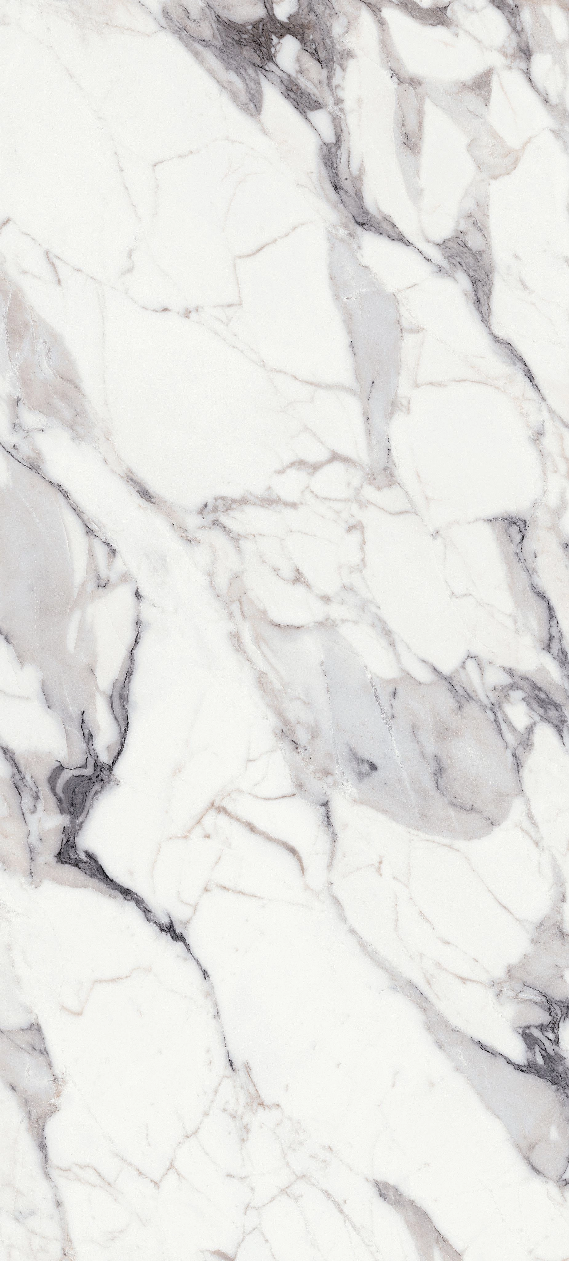 ORIGINES DE REX ARGENT GLO 6MM 120X280 R - 769975 - FLORIM div. Luxury design